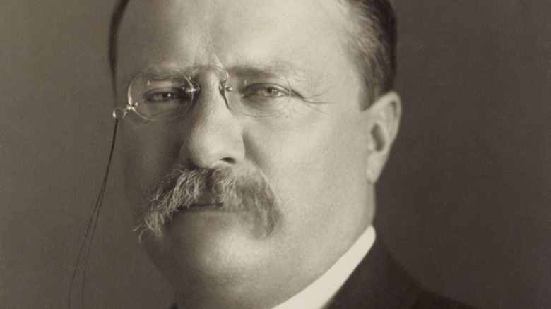 President Theodore Roosevelt