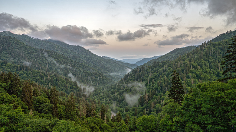 View of mountains in Great Smoky Mountains National Park