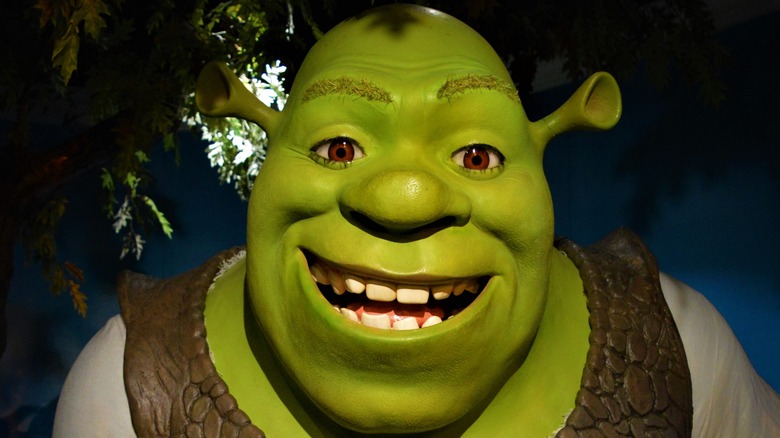 Shrek costume