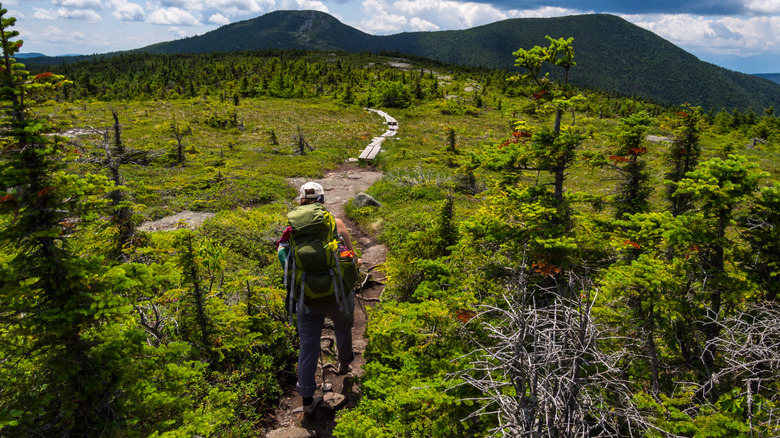 Hiker Appalachian Trail 