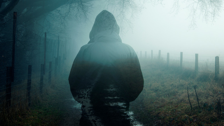 Mysterious figure in the woods