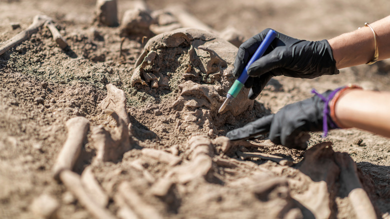 archeologists digging up human bones