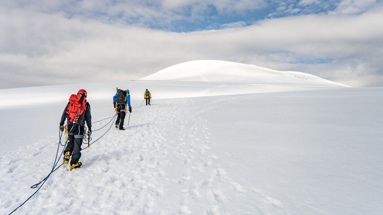 people walking together in snow