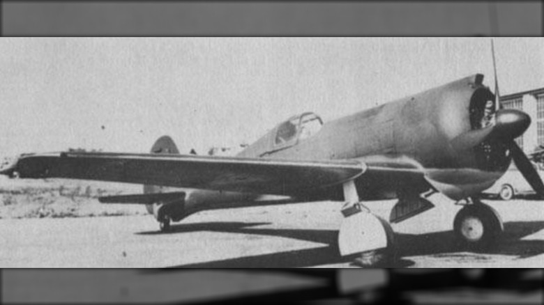 Vintage photo of CW-21 Demon grounded