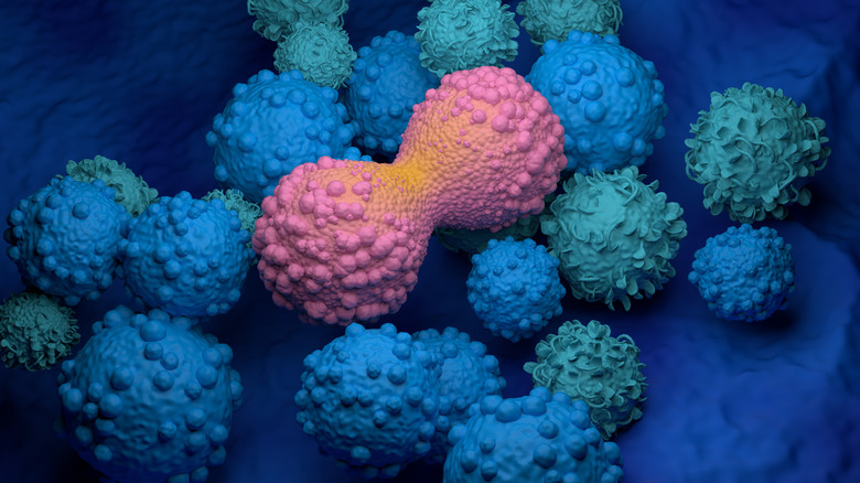 Illustration of cancer cells dividing