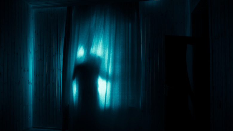 An entity inside of a home
