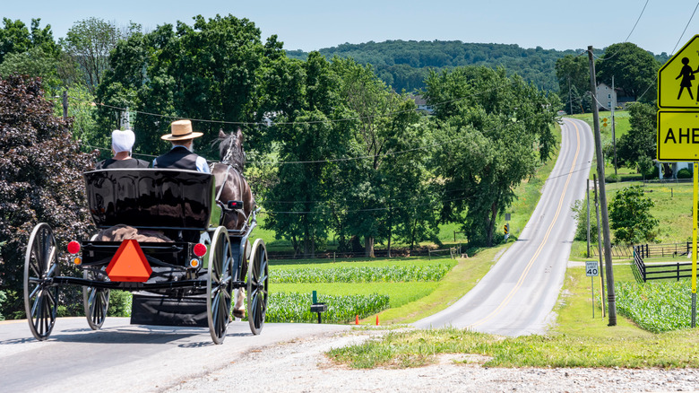 Amish buggy