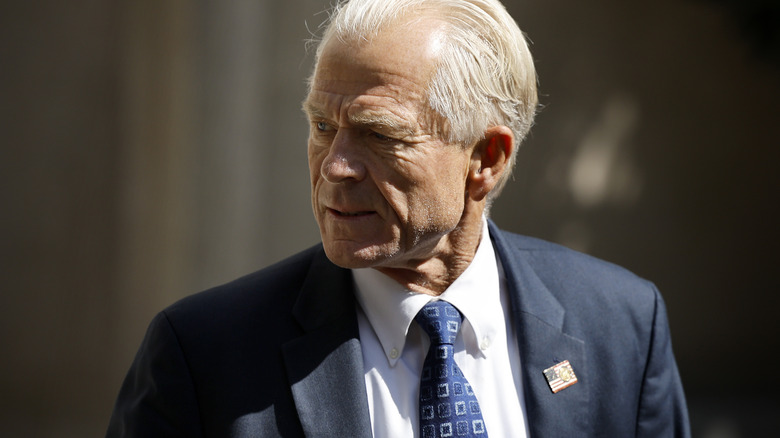 Former Trump aide Peter Navarro