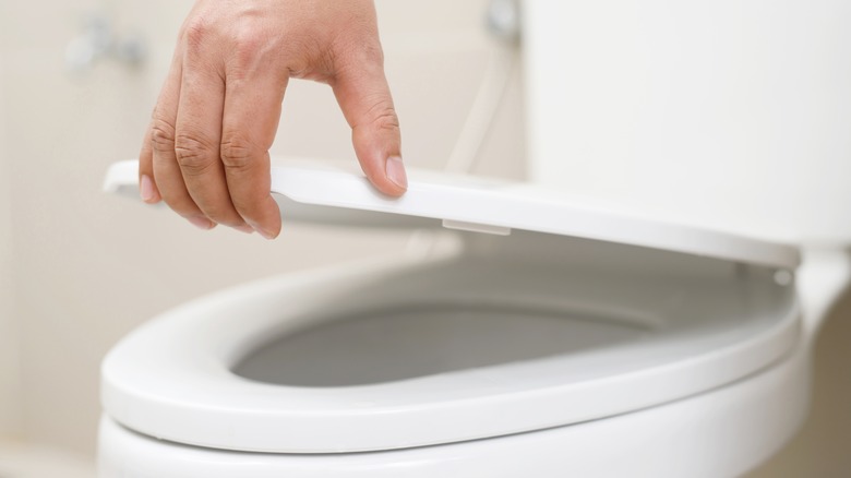 Lady lifting toilet