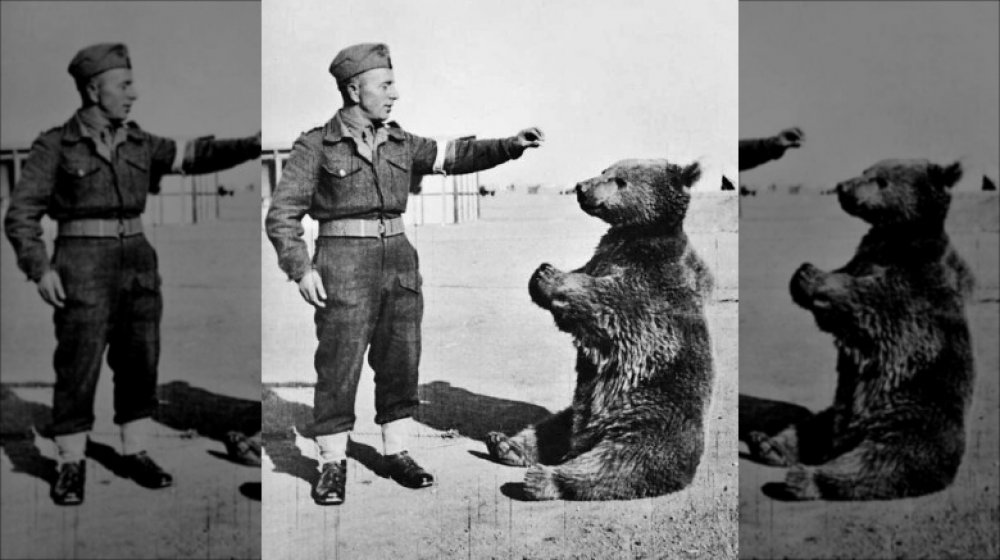 Wojtek the bear
