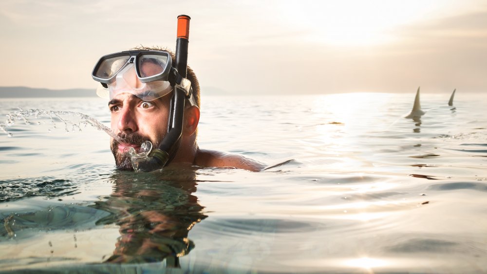Ocean swimmer