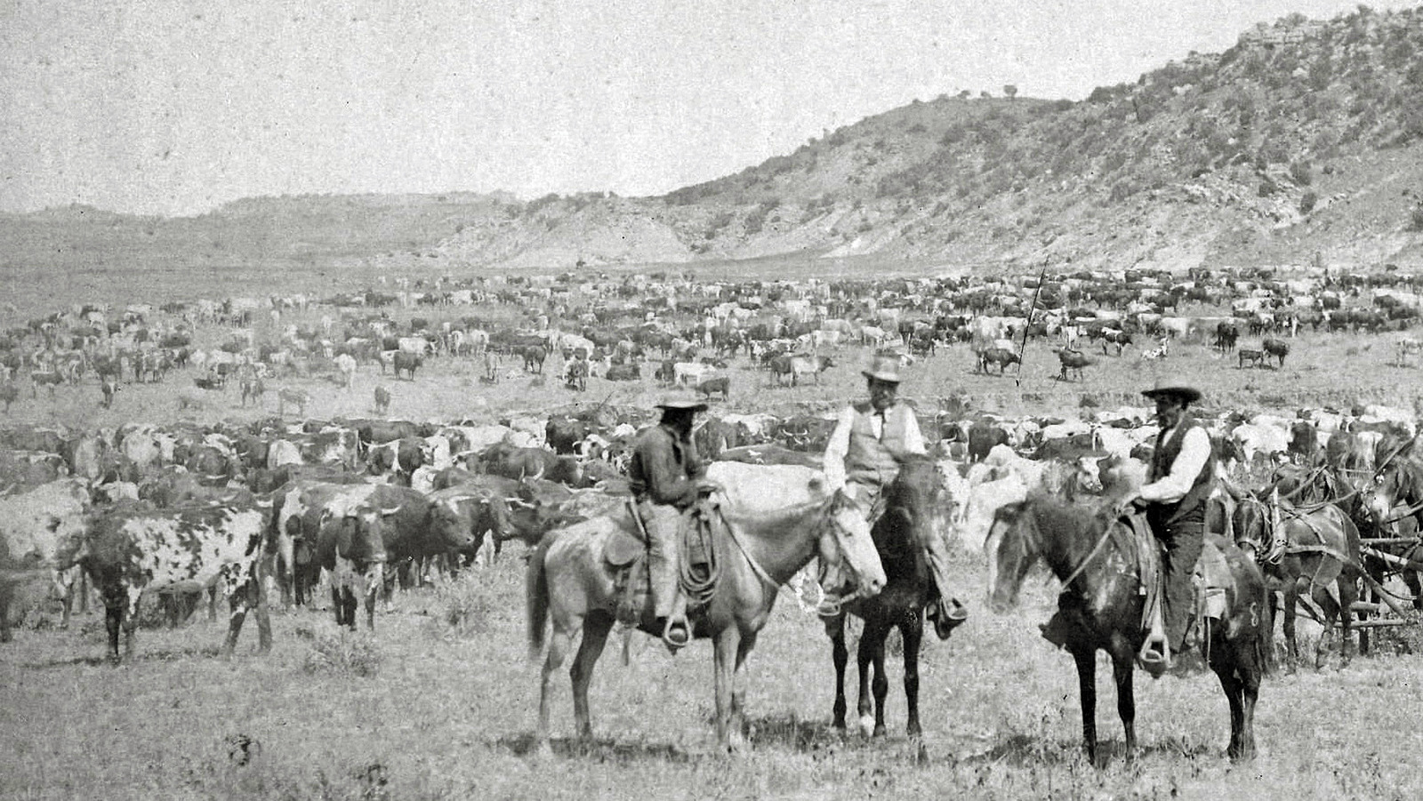 the-big-die-up-how-the-winter-of-1887-changed-the-u-s-forever