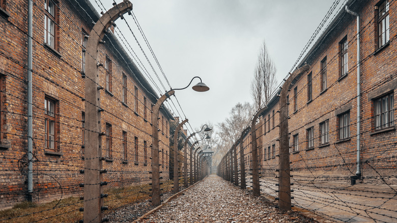 Auschwitz concentration camp