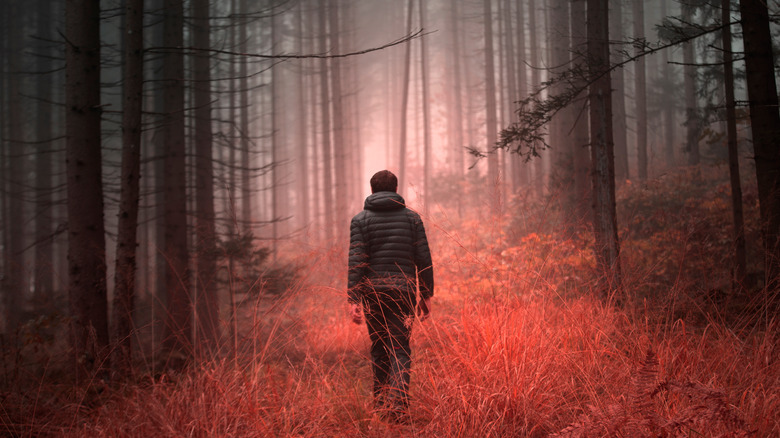 Man alone woods