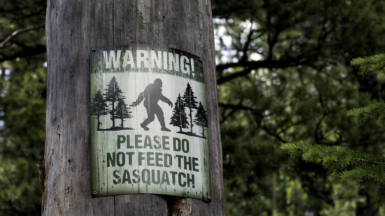 Sasquatch