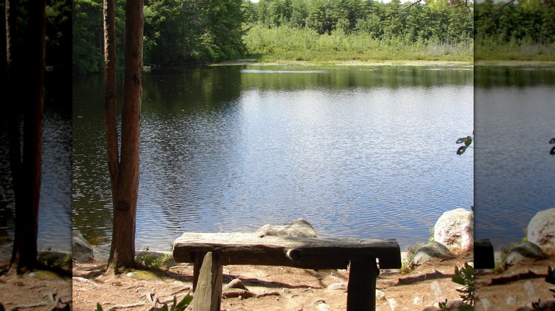 Beaver Pond in Bear Brook State Park