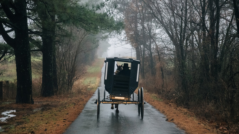 Amish cart rolling down street