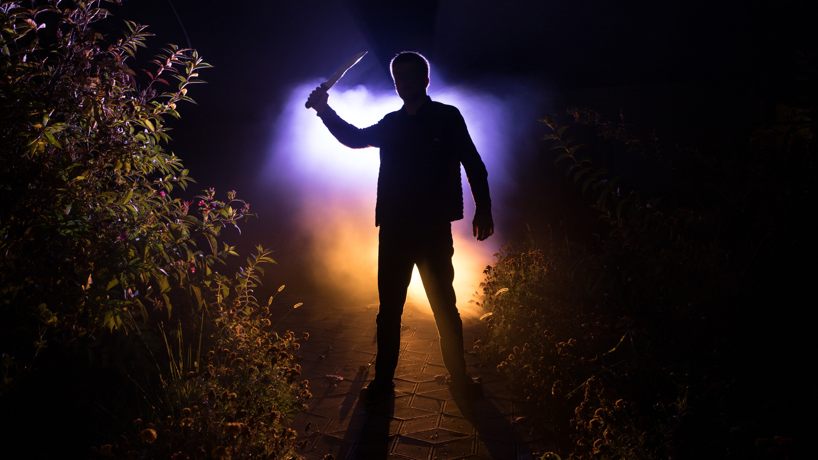 The Biggest Lisa Pruett Theories What Really Happened?