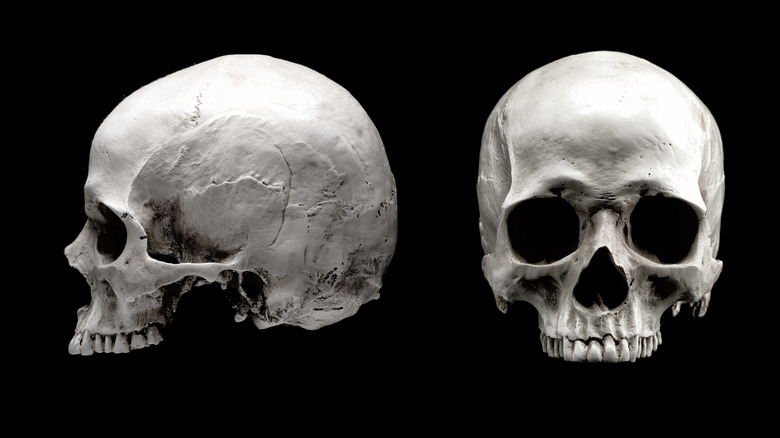 two skulls against black background