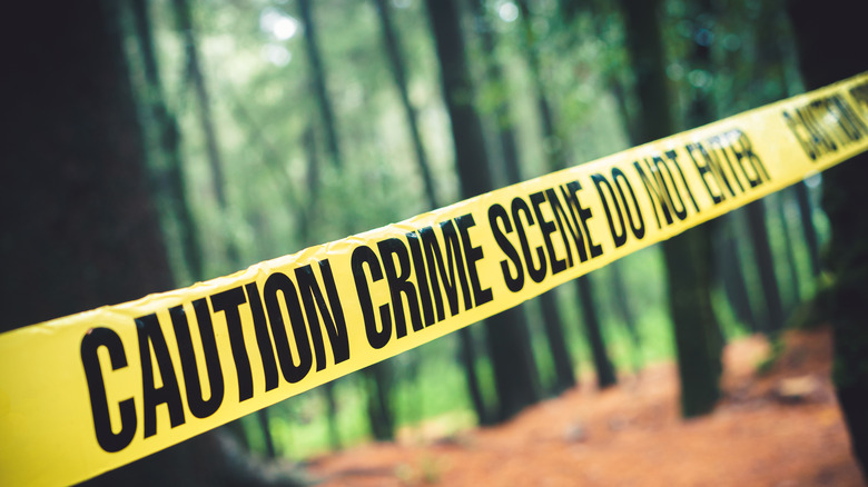 crime scene in woods