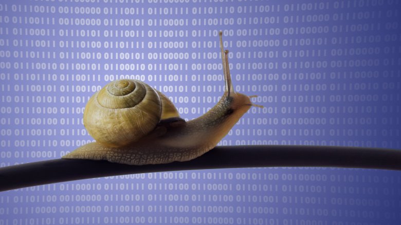 Snail on a cable