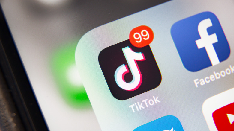 TikTok and Facebook icons