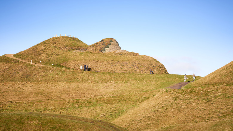 lady of the north head section