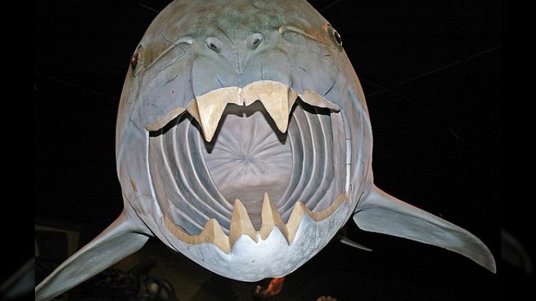 Jaw recreation of the Dunkleosteus