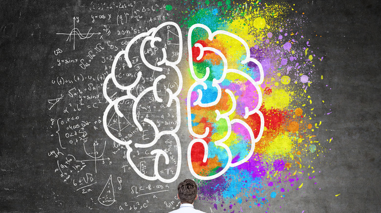 Differences between brain hemispheres