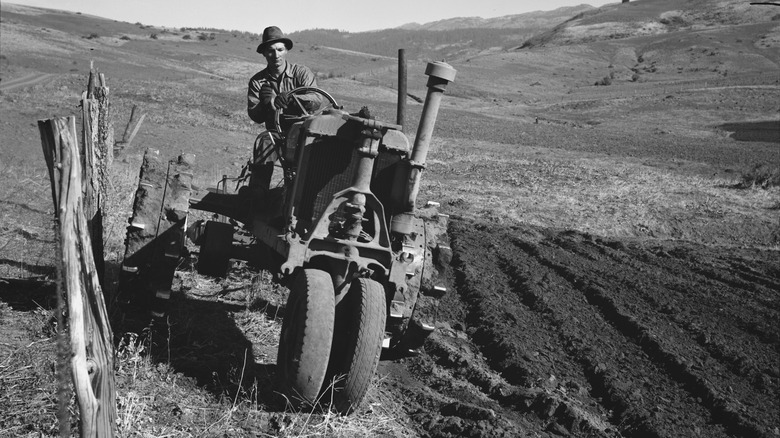 Farmer on field