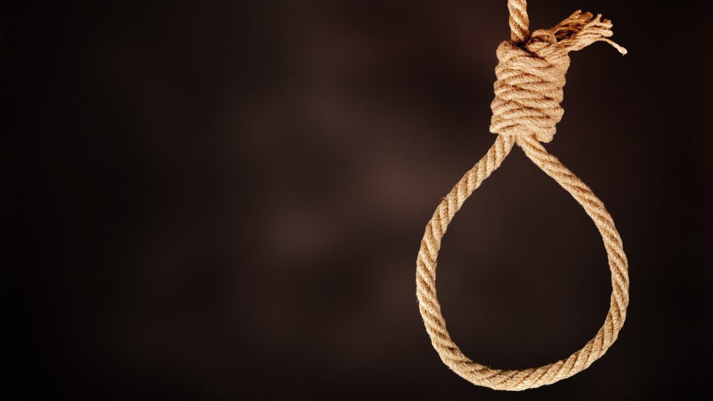 noose
