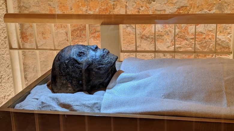 Mummy of King Tut 