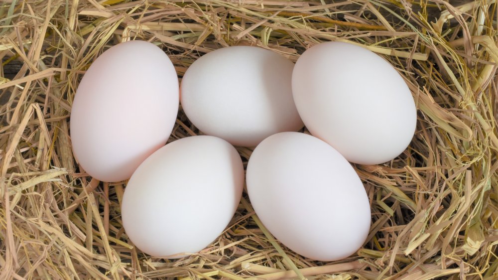 Eggs