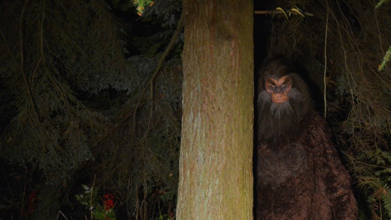The Bizarre True Story Of Bigfoot, America's Missing Ape