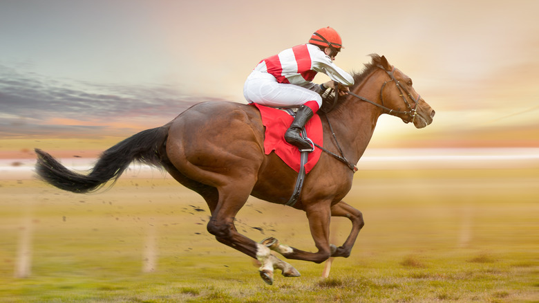 jockey riding a horse