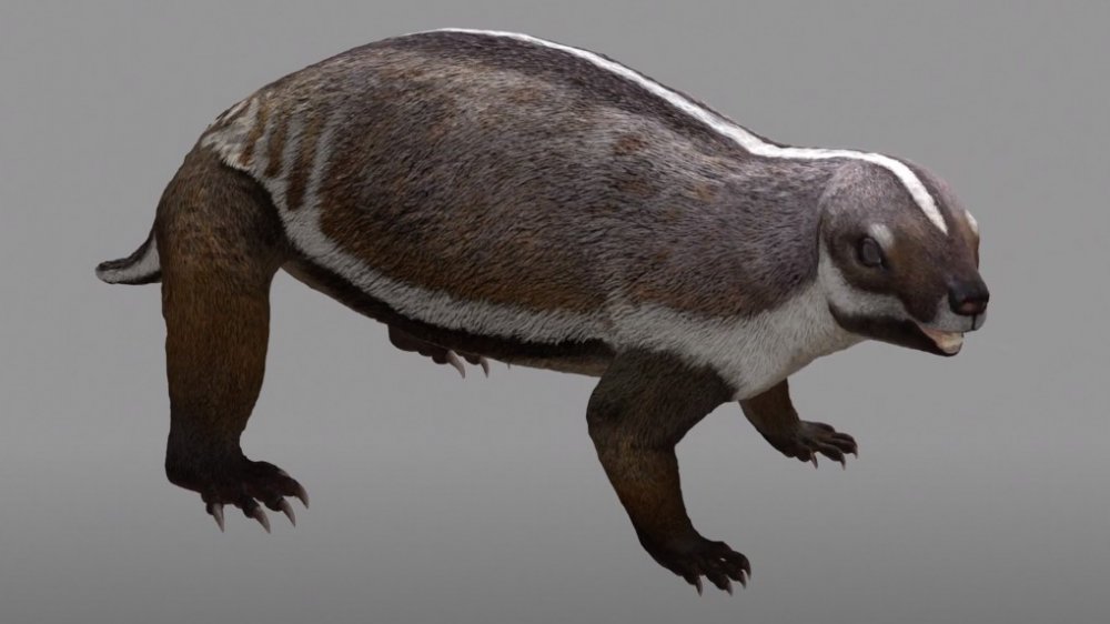 adalatherium