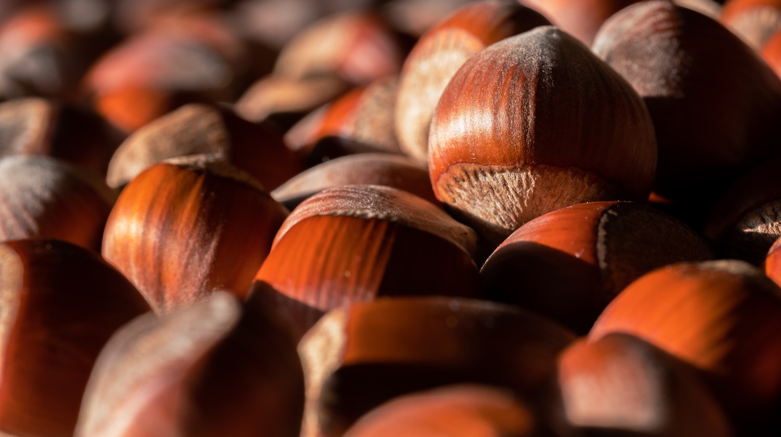 The Bizarre Way Hazelnuts Were Once Used To Find A Spouse On Halloween