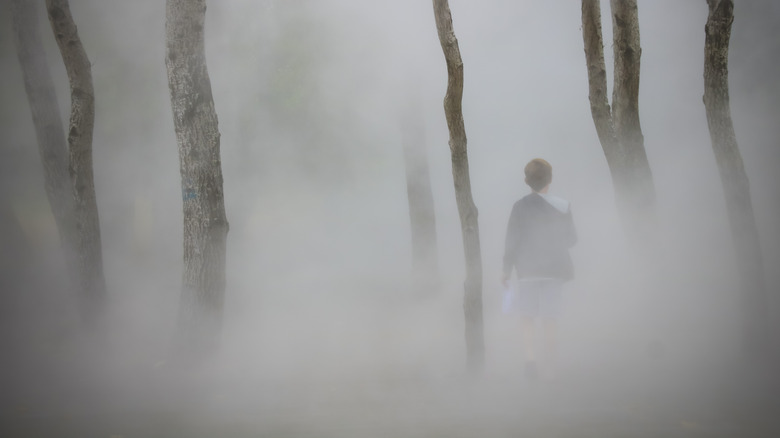 boy walking in fog
