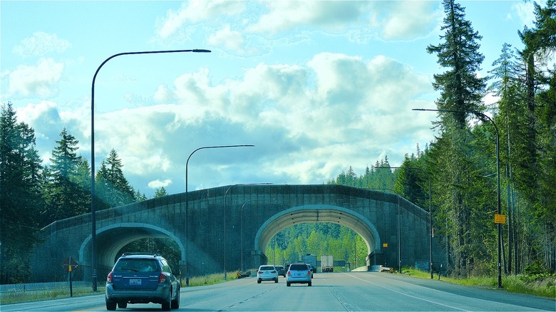 Washington state wildlife crossing 