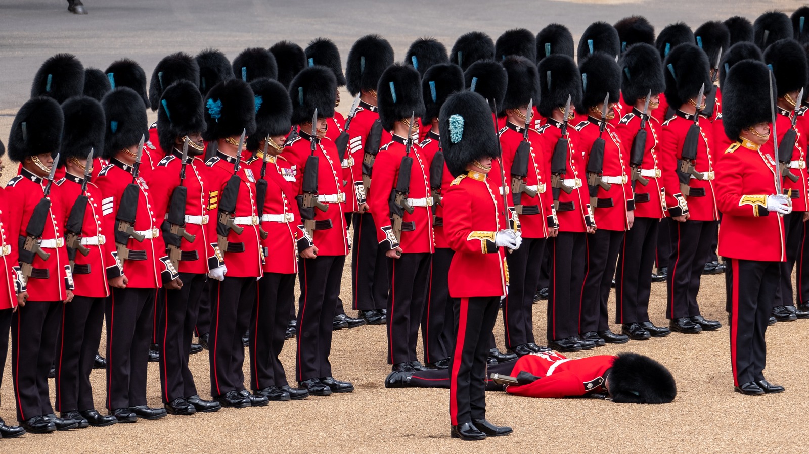 The British Military Guards Must Follow Proper Protocol Even While Fainting