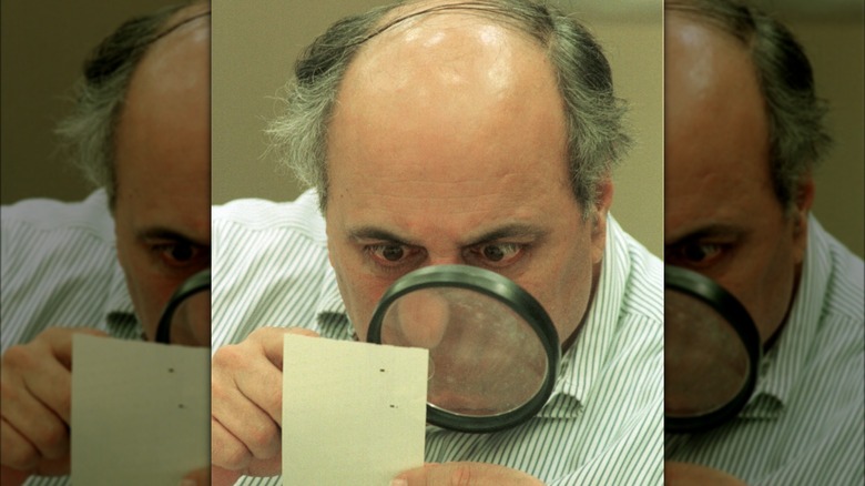 Examining a Florida ballot