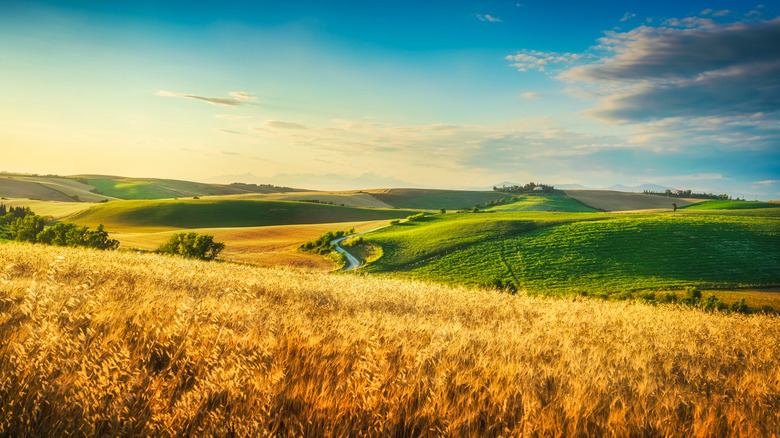 Tuscany hills