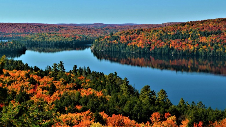 Lake in Algonquin National Park