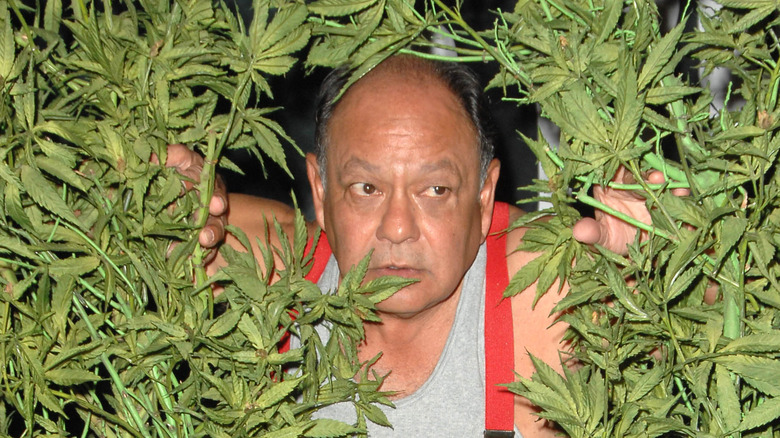 Cheech Marin
