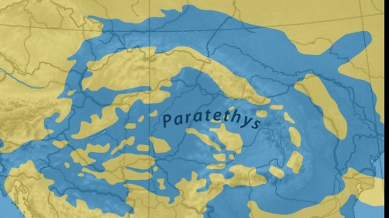The Paratethys Sea