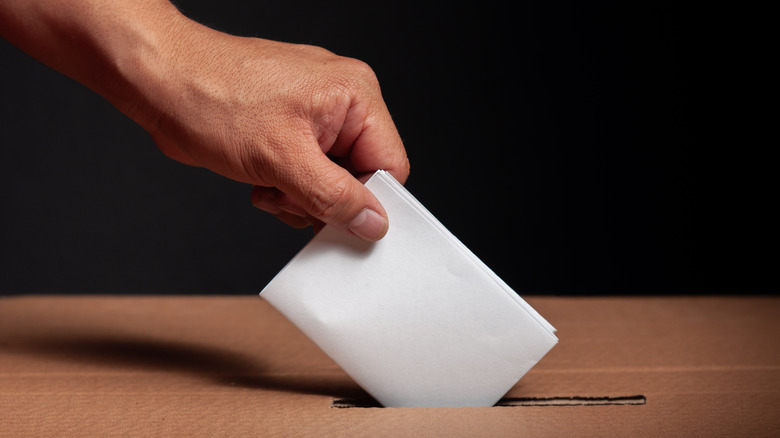 write-in vote ballot