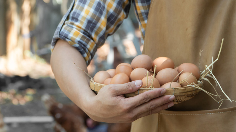 Man holding eggs