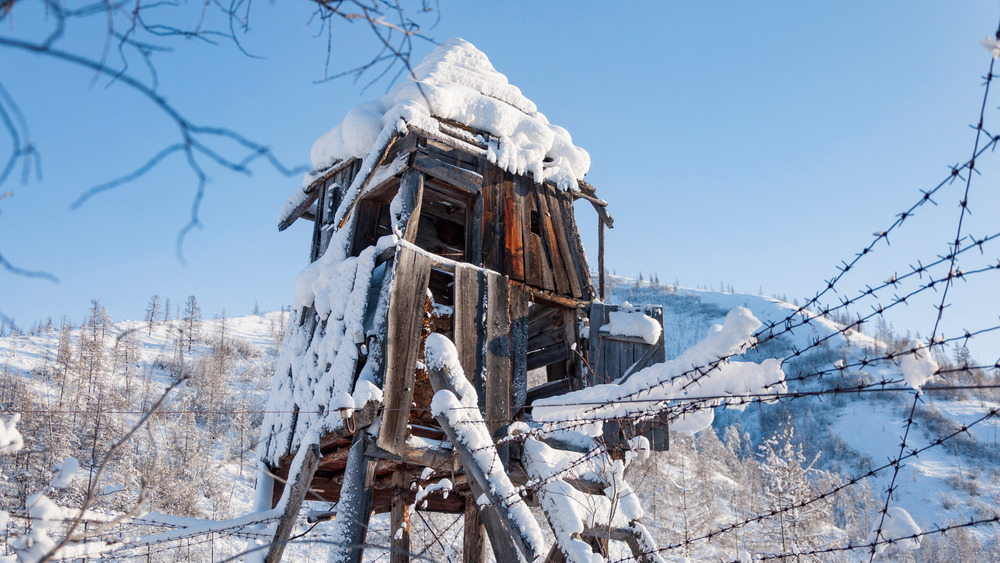 Remote guard tower