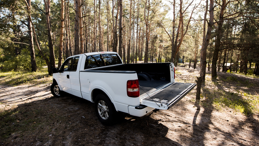 Truck abandoned in forest