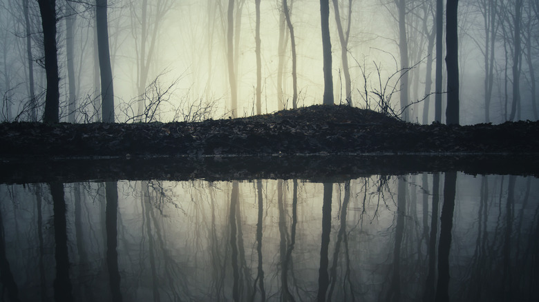 Pond and trees